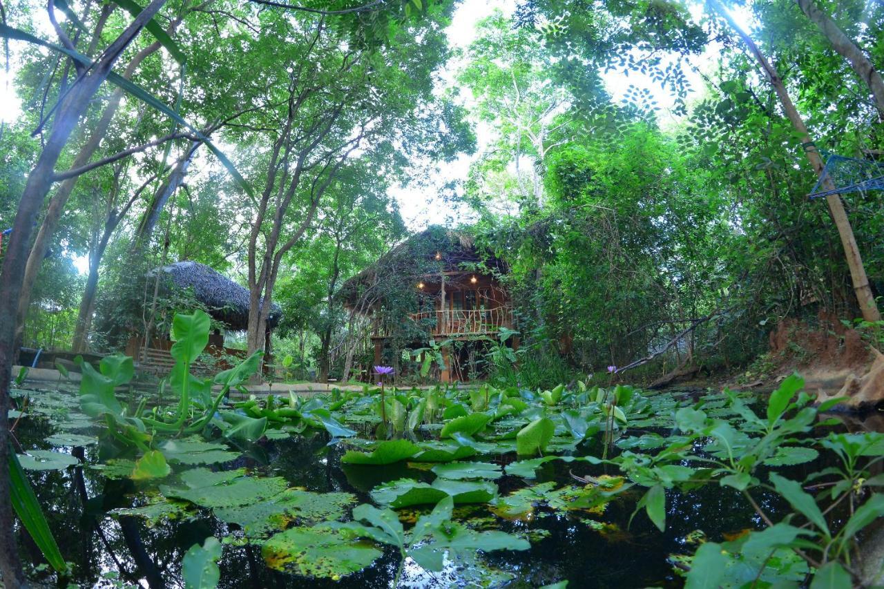 Habarana Tree House Mutu Village Exterior photo